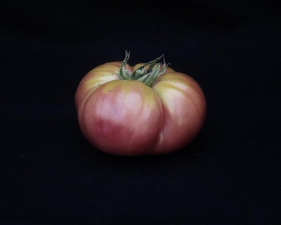 Permaculture Fall/Winter Collection