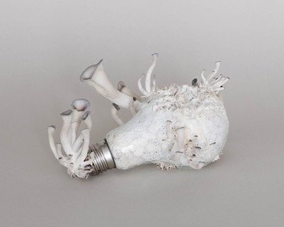 Honey, I watered the screen.